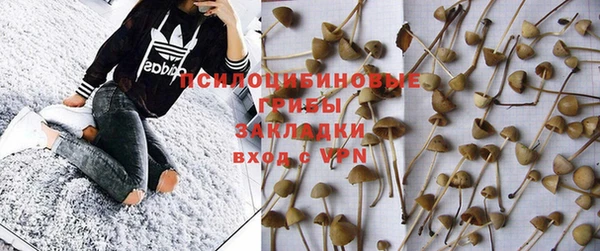 jwh Белокуриха