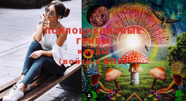 крисы Белоозёрский