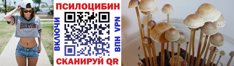 MEGA ONION  Демидов  Галлюциногенные грибы прущие грибы 